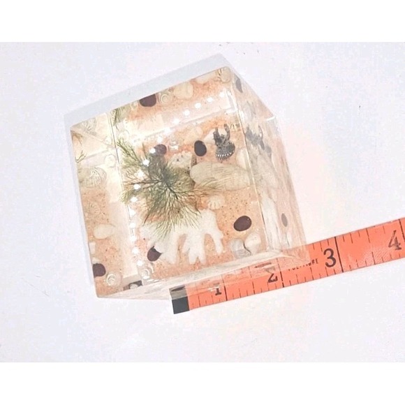 Lucite Sealife Diorama Aquarium Block 2.5" X 2.5" Small Paperweight Vintage 60s - Picture 11 of 11